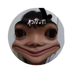 fuwa_20231211094819
