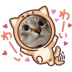 TOMOMI_20231211191329