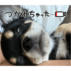 24maaatk_20231211221249