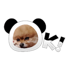 RUBIA_20231211212021