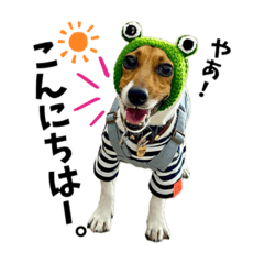 JRT Dekojirou kun