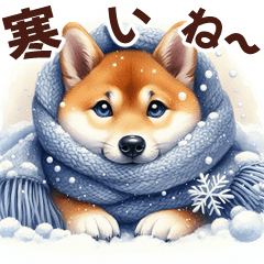 Shiba-chan*More winter*New Year holidays