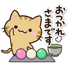 Small Kijitora cat2