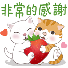 懶貓家族12 小太陽和家人-甜蜜草莓篇