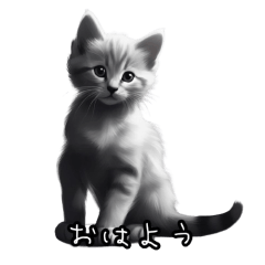 Cat Sticker 40-53