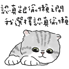 Oba cat16 - silver tabby cat