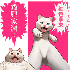 แมวตลกวันตรุษจีน