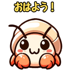 cute hermit crab momo