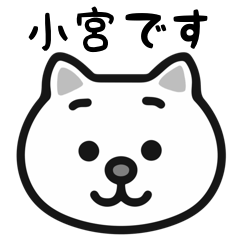 Komiya cat stickers