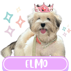 WOOFME WITH ELMO