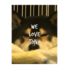 WE LOVE TONO