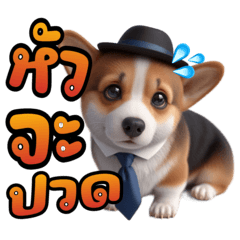 Corgi Dog Detective