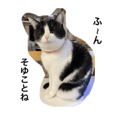 SAKURA_20231212223540