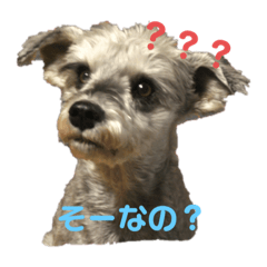 YUKA_20231212234910