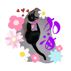 黑貓芝麻的心情日記（2）