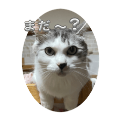 Nao_20231213013821