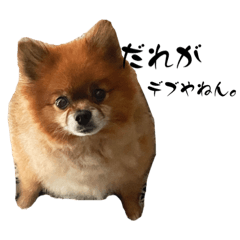 strong OL_20231213024554