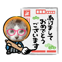 あけおめ 猫友