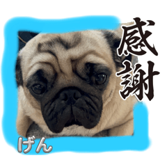 20231213yuki