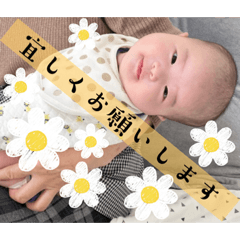 sakura_20231213092545