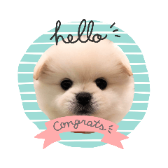 yuka_20231213113552