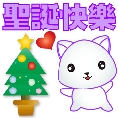 practical phrases-cute white cat