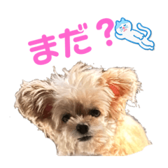 ima_20231213100503