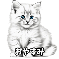 Cat Sticker 40-54