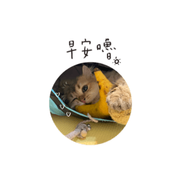 Small T_20231212235758