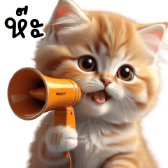 Orange Cat Cute Funny