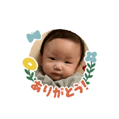 kochokocho_20231213141701