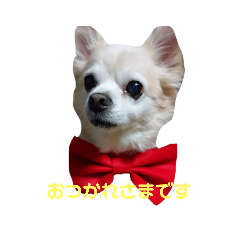 kana_20231213171413
