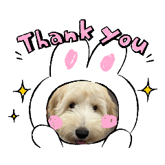 ah-ya_20231213205143