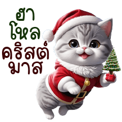 Cute Catty X-mas and Happy New Year
