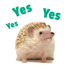 hedgehog animation sticker Ver.2