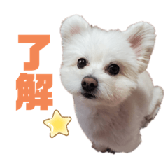 yukimuro_20231214133645