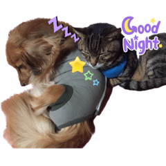 kaipimama_20231214120350