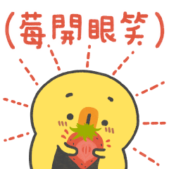 Senbei Duck have strawberry season