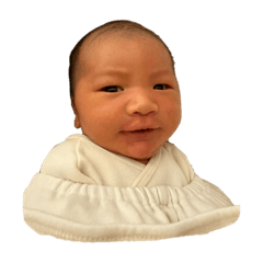 我的葛小弟出乃玩