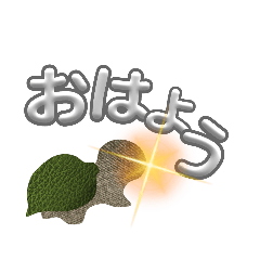 reihana7_20231214173602