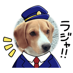 Sakura_20231214215732