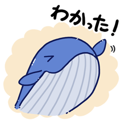 Nomal whales sticker 2