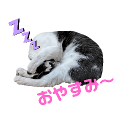 kana_20231214212624