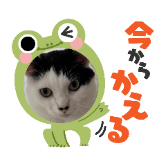 yuka_20231214212850
