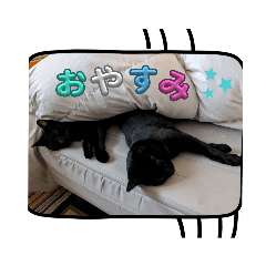 kana_20231214234256