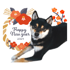 柴犬 黒柴きのこの日常13 お正月編 - LINE スタンプ | LINE STORE 柴犬 黒柴きのこの日常13 お正月編 - LINE スタンプ | LINE STORE