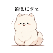 rui_20231215125314