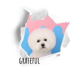 omochi_20231214175615
