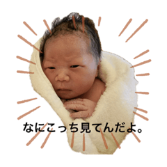 tomomi_20231214231810