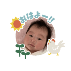 apricot8_20231215150234